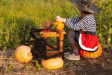 Çizgili elbiseli ve siyah şapkalı bir kız iksir pişiriyor. Yakınlarda balkabakları var. Cadılar Bayramı