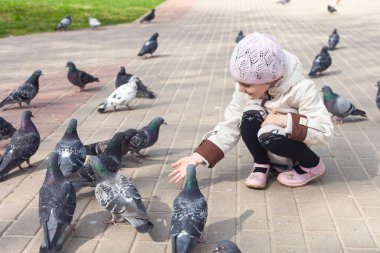 Beyaz ceketli bir kız baharda parkta güvercinleri besler..