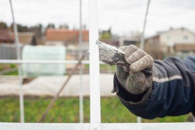 Erkek eli seranın çerçevesini beyaz boyayla boyuyor..