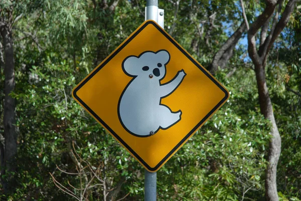 Señal Carretera Koala Magnetic Island Queensland Australia — Foto de Stock