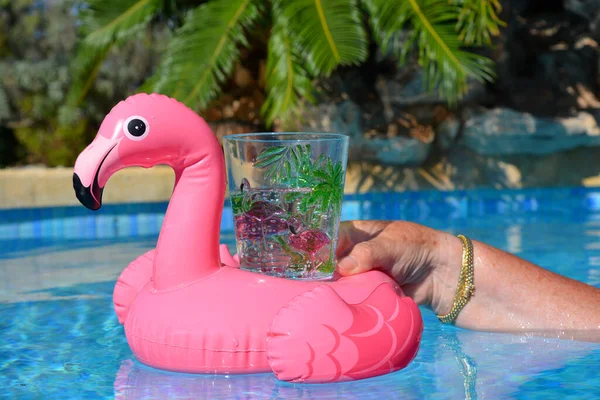 Bebida Refrescante Mão Mulher Vidro Flamingo Rosa Brilhante Suporte Flutuante — Fotografia de Stock