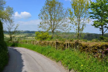 Baharda kır yolu güneşli bir günde, Somerset, İngiltere