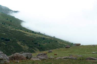 Cantabria 'da sonbaharda bulutlu bir dağın manzarası