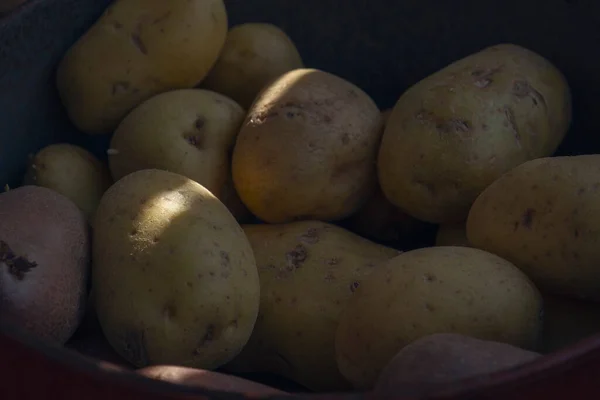 Kartoffeln Mit Natürlichem Licht — Stockfoto