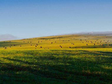 Manzara. Sabahın erken saatlerinde samanlıklarla dolu güzel bir tarla. Kuzey Kafkasya