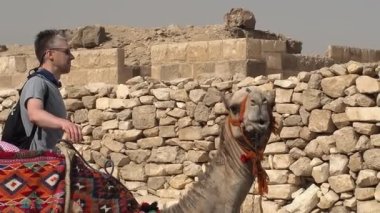 Giza Piramitleri bölgesinde devenin yanındaki bir turist fotoğraf için poz veriyor.