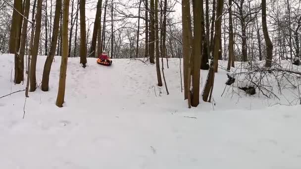 Uma mulher em um tubo laranja desce de um deslizamento de neve na floresta. — Vídeo de Stock