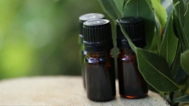 Laurel esaslı petrol. Körfez yaprağı yağı. Yeşil defne yağı. Cam kahverengi şişeler ve yeşil bulanık arka planda defne yaprakları..