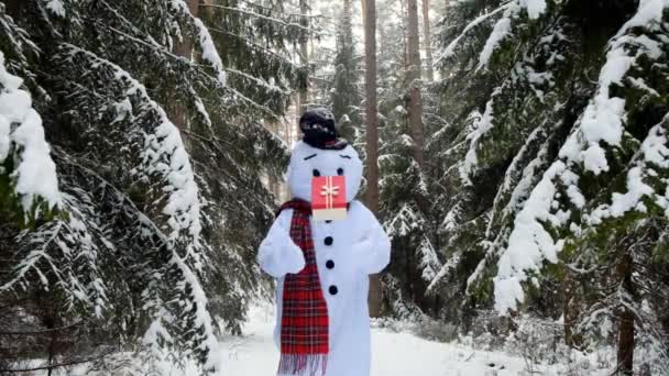Sněhulák s dary. Dárky na Vánoce a Nový rok.Sněhulák hraje s červenou dárkovou krabicí v zimě zasněžený les. Překvapení a dárky na zimní prázdniny — Stock video