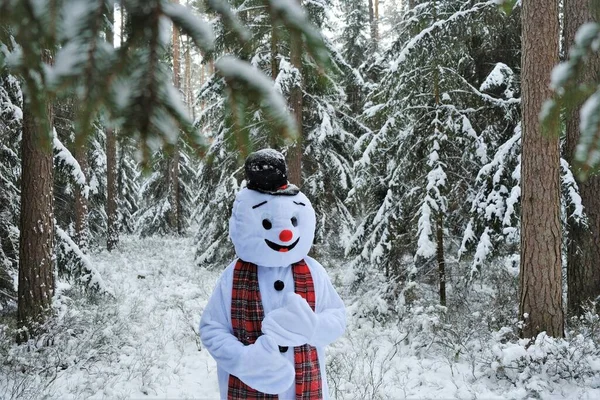 Hóember.Karácsony és újév.Hóember játszik a téli havas erdőben.Vidám hóember. — Stock Fotó