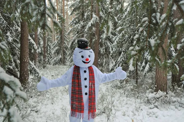 Kardan adam. Noel ve Yeni Yıl. Şimdi adam kışın karlı ormanda oynuyor. eğlence ve oyunlar. — Stok fotoğraf