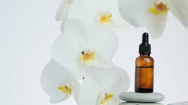 Aceite de masaje y piedras de masaje. Flores de orquídea blanca, piedras grises de masaje y aceite de masaje sobre fondo blanco. concepto de belleza y relajación — Vídeos de Stock