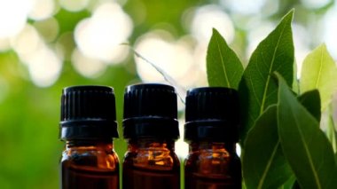 Laurel 'ın temel yağı. Saha yaprağı yağı. Gerekli yağ şişeleri..