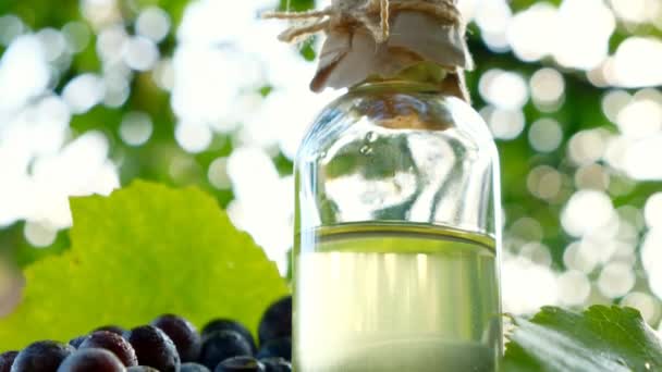 Aceite de semilla de uva. Vinagre de uva. Aceite natural ecológico de semilla de uva — Vídeo de stock