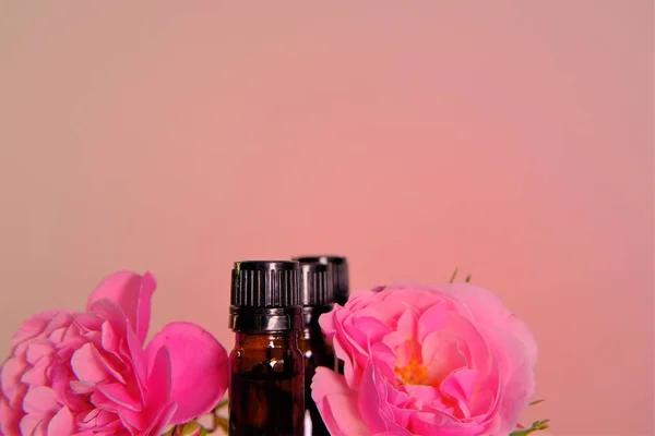 Óleo essencial de rosa.Conceito de aromaterapia e cosméticos. Garrafas de vidro conjunto e rosa rosa rosa flores no fundo cor-de-rosa. — Fotografia de Stock