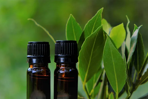 Laurel oil.Bay leaf oil. Laurel essential oil.Glass brown bottles set and laurel leaves on a green blurred background — Stock Photo, Image