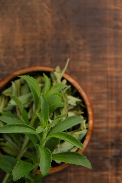 Stevia rebaudiana.Dry и свежий стевия в деревянной чашке на деревянный столе.Органические природные низкокалорийный подсластитель. — стоковое фото