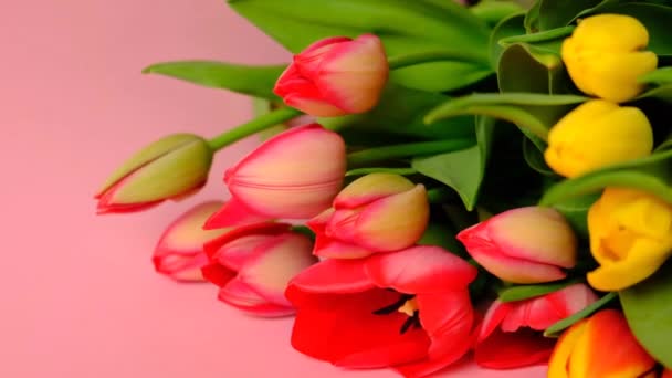 Bouquet de tulipes sur fond rose clair. Fond floral. — Video