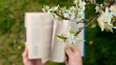 Ellerinde açık bir kitap ve kapanmış beyaz çiçekler. Kitaplar. El yaprakları arasında kitap ve çiçek açan ağaç dalları. Bahar temaları üzerine kitaplar okumak.