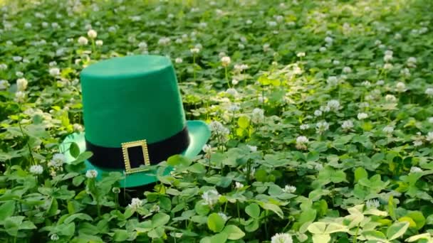 Patrick s Day.Πράσινο καπέλο ξωτικό σε πράσινο clover.Falling νομίσματα σε ένα πράσινο καπέλο. Ιρλανδική παραδοσιακή άνοιξη holiday.Saint Patrick φόντο.St. Patrick Day πράσινο θολή φόντο με τριφύλλια — Αρχείο Βίντεο