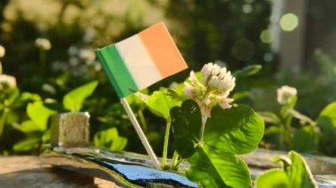Patrick Günü. İrlanda bayrağı ve yonca çiçekleri. İrlanda geleneksel bahar tatili. Aziz Patrick geçmişi..