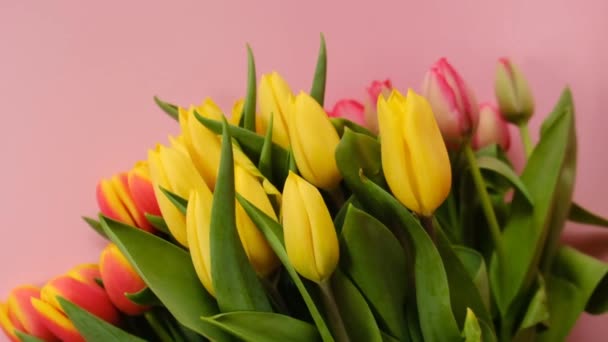 Букет тюльпанов. Желтый и красный букет тюльпанов на светлом розовом фоне. Букет тюльпанов. Букет весенних цветов. Весенний цветочный праздничный фон. Международный женский день, матери — стоковое видео