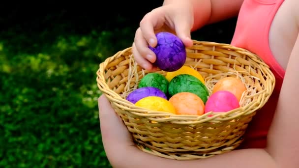 Huevo de Pascua Hunt.Childs mano pone huevo en la cesta. Tradición de vacaciones de Pascua.Niño recoger los huevos de Pascua en el jardín de primavera. Huevos coloridos de Pascua. Vacaciones religiosas de primavera — Vídeo de stock