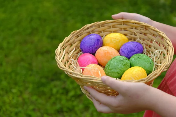 Охота на пасхальные яйца. Пасхальные яйца, посаженные в корзину в детские руки на зеленом фоне травы. Собираю яйца. Праздничные традиции — стоковое фото