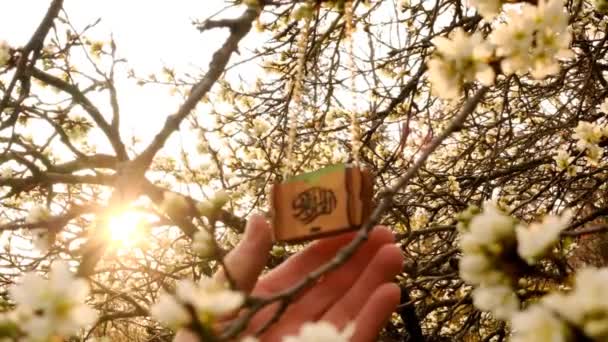 Alcorão em miniatura em um caso de madeira com caligrafia islâmica em ramos floridos.Ramadã tempo. Primavera feriado muçulmano simbolismo. Mão segura mini Alcorão em ramos com flores brancas. Religião islâmica — Vídeo de Stock