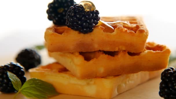 Belgické vafle s medem a blackberry.Pečení s medemi.Vafle zblízka, kapky tekutého medu na dřevěné desce na bílém rozmazaném pozadí.Chutná snídaně — Stock video