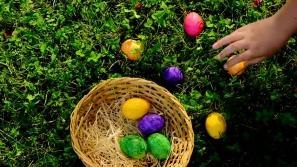 Osterfeiertagstradition. Easter Egg Hunt.Childs Hand legt Ei in Korb. Bunte Ostereier. Kind sammelt Ostereier im Frühlingsgarten. Religiöser Frühlingsfeiertag — Stockvideo