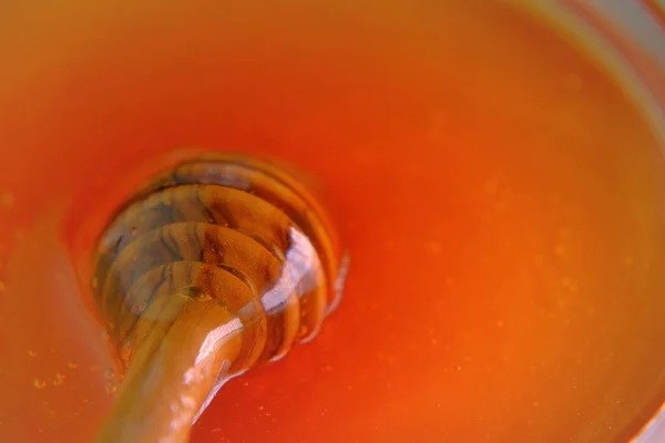 Медовая палка Жидкий мед в прозрачной стеклянной банке с dipper.stick для меда в чашке. — стоковое фото
