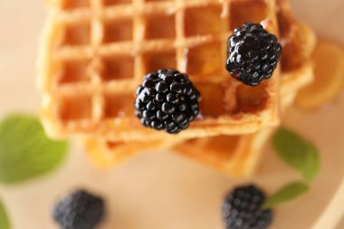 Belçika waffle 'ı. Ballı fırın. Lezzetli kahvaltı. Waffle ve böğürtlen.