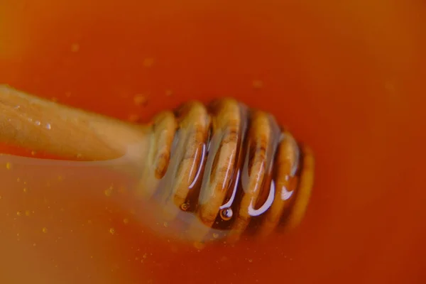 Μέλι ραβδί. Υγρό μέλι σε γυάλινο βάζο με dipper.stick για μέλι σε φλυτζάνι.Υγιεινή φυσική γλυκύτητα. Οργανικό μέλι. — Φωτογραφία Αρχείου