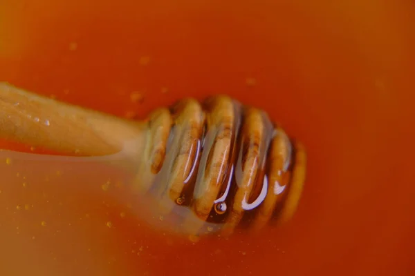 Pałeczka miodu. Ciekły miód w szklanym słoiku z dipper.stick do miodu w filiżance .Zdrowa naturalna słodycz. Miód organiczny. — Zdjęcie stockowe