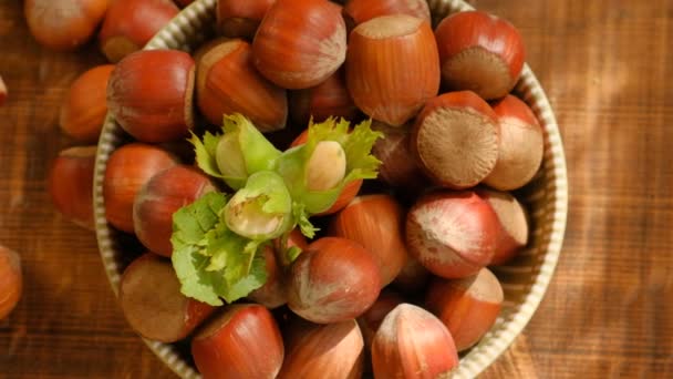 Zralé lískové ořechy v šálku na dřevěném stolku.Rostlinný zdroj bílkovin. Farmed organic lískových oříšků.Pohled shora. zdravá svačinka. Zdravé tuky. Zralé lískové ořechy ve farmovém chovu — Stock video