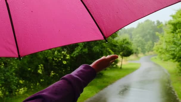 Yağmur. Düşük hareket. Pembe şemsiye ve kadınlar yağmurda el ele tutuşur. Yaz yağmuru. Yağmurlu hava kavramı. Damlalar ve sıçramalar.. — Stok video