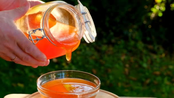 O mel derrama de um frasco de vidro em uma xícara de vidro. Honey.Healthy natural doce orgânico. — Vídeo de Stock
