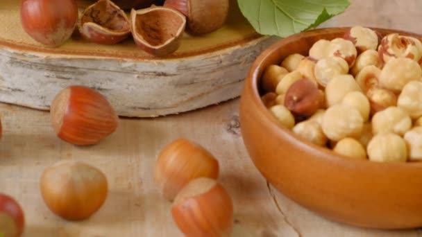 Cosecha de avellanas. Nueces enteras de cerca en una taza de madera en un corte de sierra de madera.Grasas saludables. Avellanas maduras orgánicas de granja — Vídeo de stock