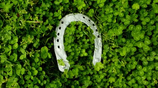 Fondo festivo de San Patricio. Herradura de plata brillante sobre fondo de trébol verde. Vacaciones tradicionales de primavera irlandesas. — Vídeos de Stock