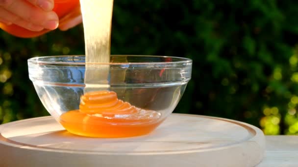 Hunaja kaadetaan läpinäkyvään lasikuppiin auringossa kesäpuutarhassa.Terveellinen luonnollinen makeus. Luomu Tuore hunaja. — kuvapankkivideo