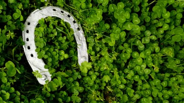 San Patricio background.horseshoe sobre fondo de trébol verde — Vídeos de Stock