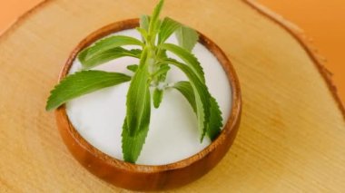 Stevia ahşap bir bardakta, üzerinde kristal stevia tozu olan taze bir dal. Turuncu bir arka planda kesilmiş bir testere. Stevia rebaudiana. Döndürme.