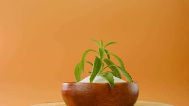 Stevia rebaudiana. Rotation. Stevia frischer grüner Zweig in einer hölzernen runden Tasse auf leuchtend orangefarbenem Hintergrund. — Stockvideo