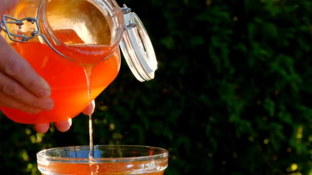 La miel se vierte de un frasco de vidrio en una taza de vidrio en el jardín de verano.Dulzura natural saludable. Miel fresca ecológica. — Vídeo de stock