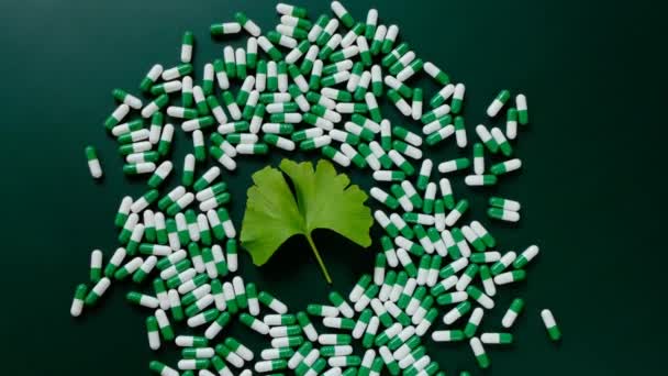 Ginkgo biloba pills.Green ginkgo biloba foglia e vegetale bianco capsule verdi con estratto di ginkgo biloba su sfondo verde.Preparazioni con estratto di ginkgo biloba — Video Stock