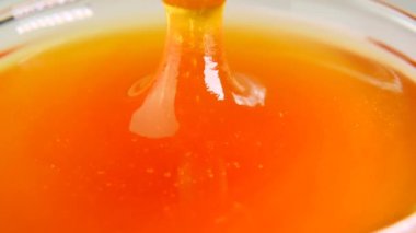 Taze bal. Bal çubuğu. Ağır çekim..