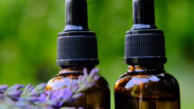 Lavanta özü yağı. Lavanta yağı ve lavanta filizi.