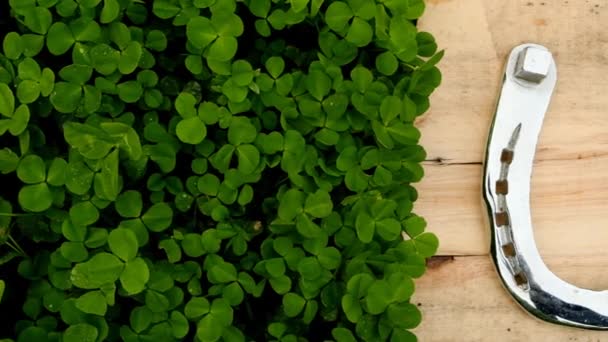 緑のクローバーの板の上に光沢のある銀の馬蹄形。聖パトリックの日。アイルランドの伝統的な春の休日. — ストック動画