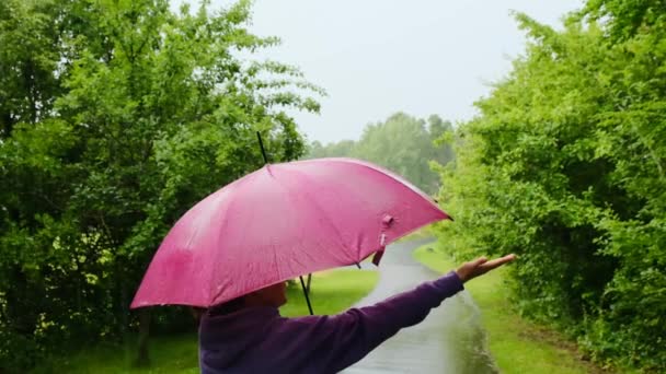 Lluvia. Mujer con paraguas rosa bajo la lluvia en el parque veraniego. Lluvia de verano. Concepto de tiempo lluvioso.Gotas y salpicaduras. — Vídeos de Stock